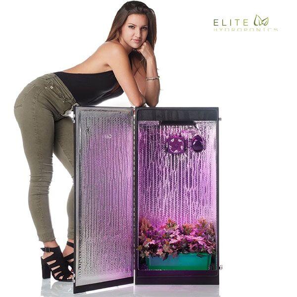 Cash Crop 5.0 - 6 Plant LED Hydroponics Grow Box